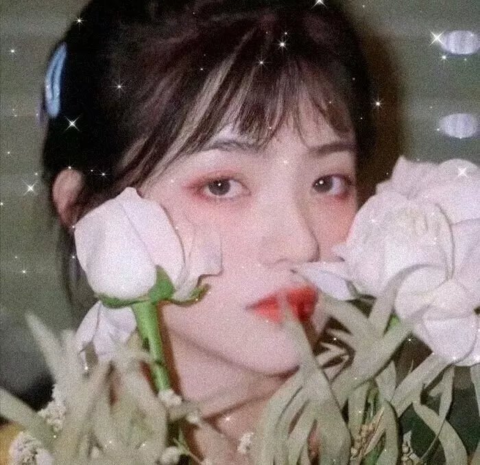 春曲丽影